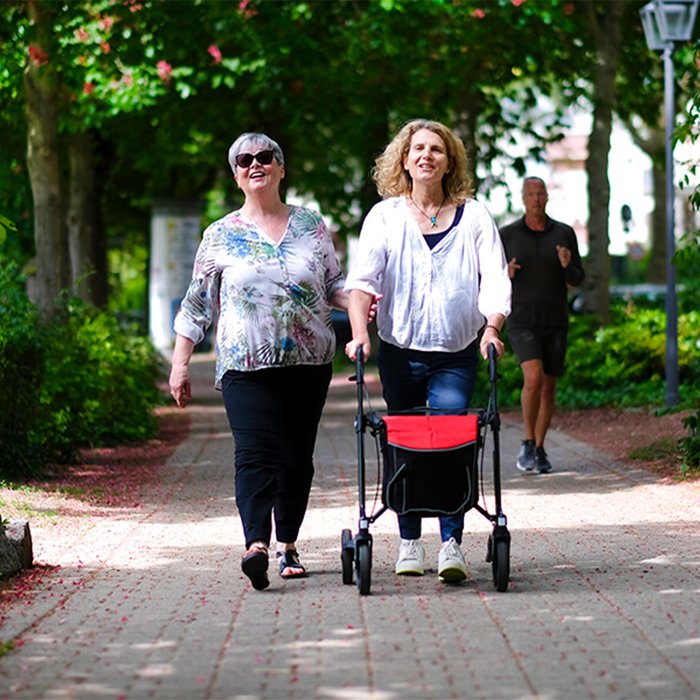 Product Image of Carbon-Rollator GEMINO 30 ultraleicht Falt-Klick-System