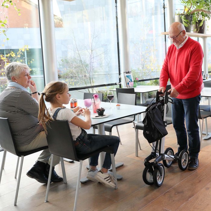 Gallery Image of Rollator GEMINO 30 Comfort Stoßdämpfung Korb 10 kg outdoor