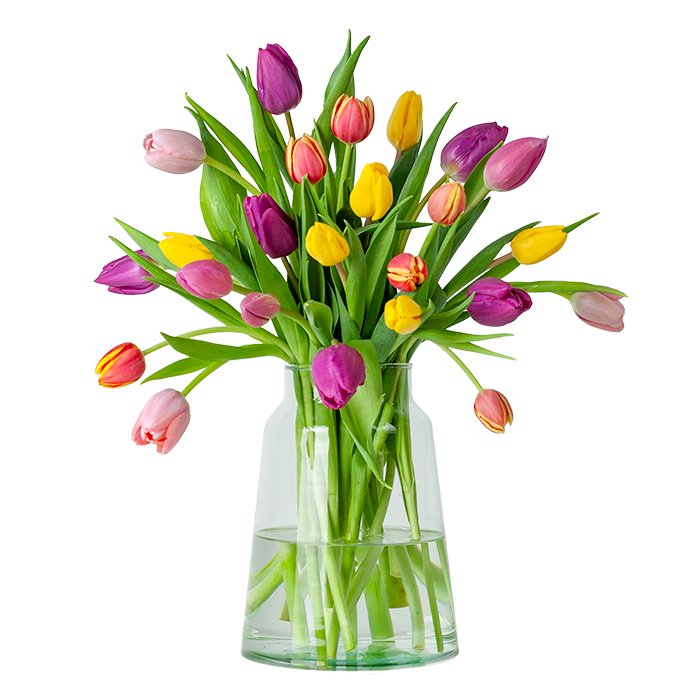 Greetz | 24 Tulpen | Kleurenmix | Do It Yourself | Flowers