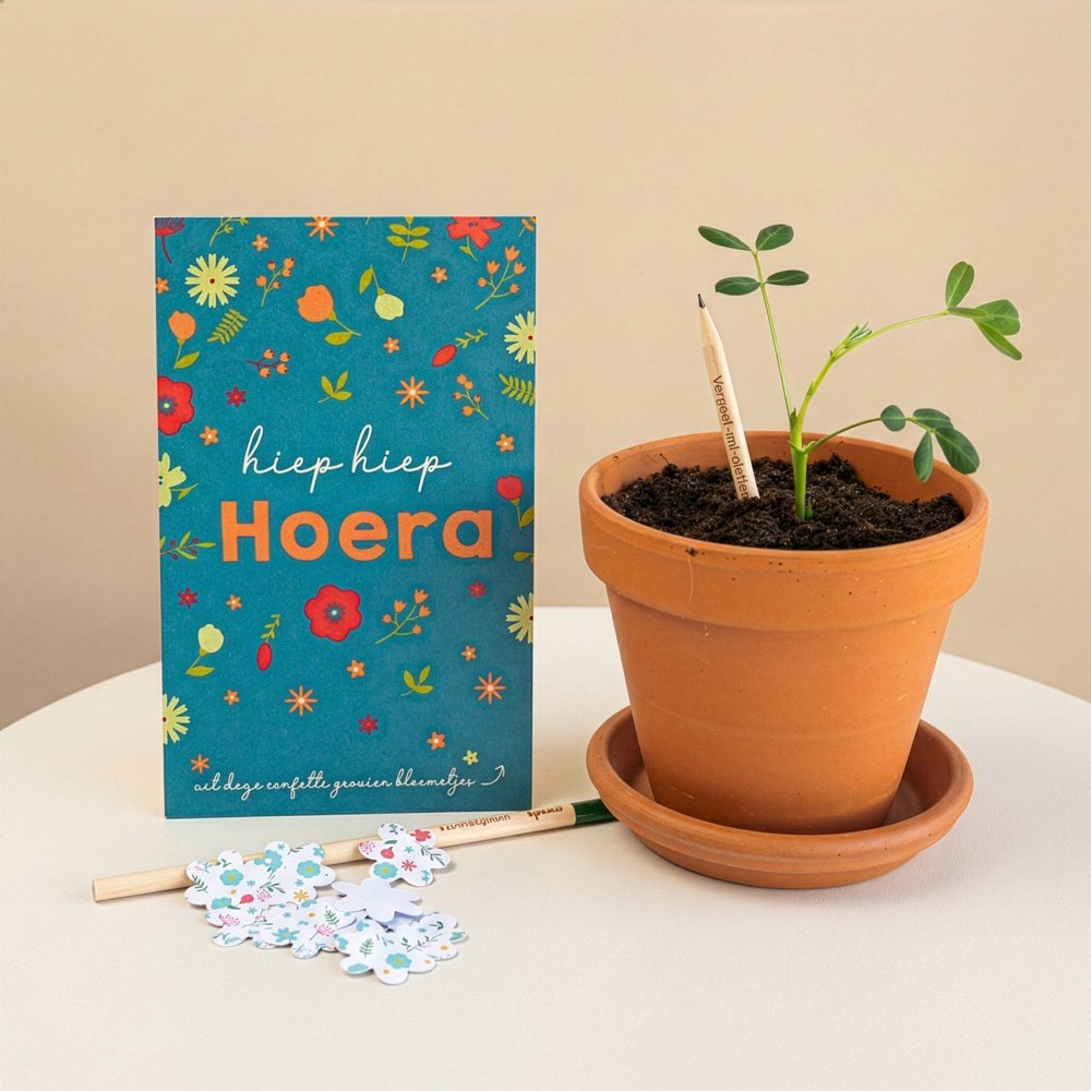 Bloeipotloden - Hoera + confetti Brievenbusbloemen Greetz