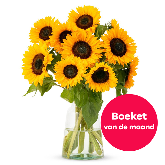 Zonnebloemen