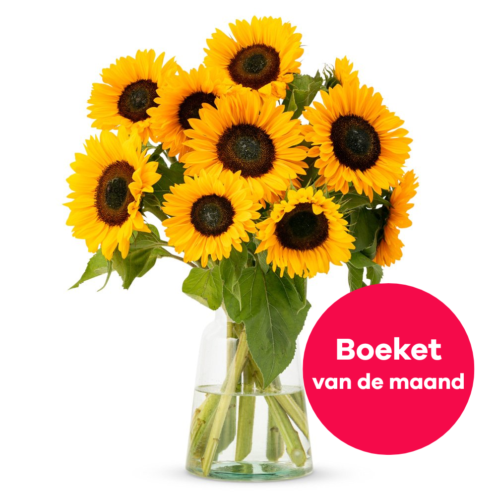 Greetz | Zonnebloemen | Flowers