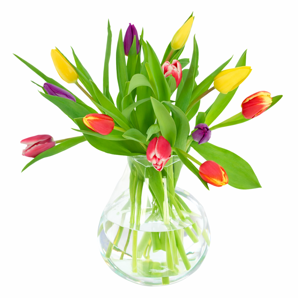 Brievenbusbloemen Boeket Tulpen Greetz