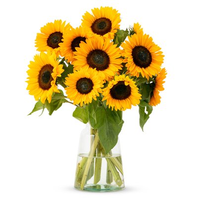 Zonnebloemen