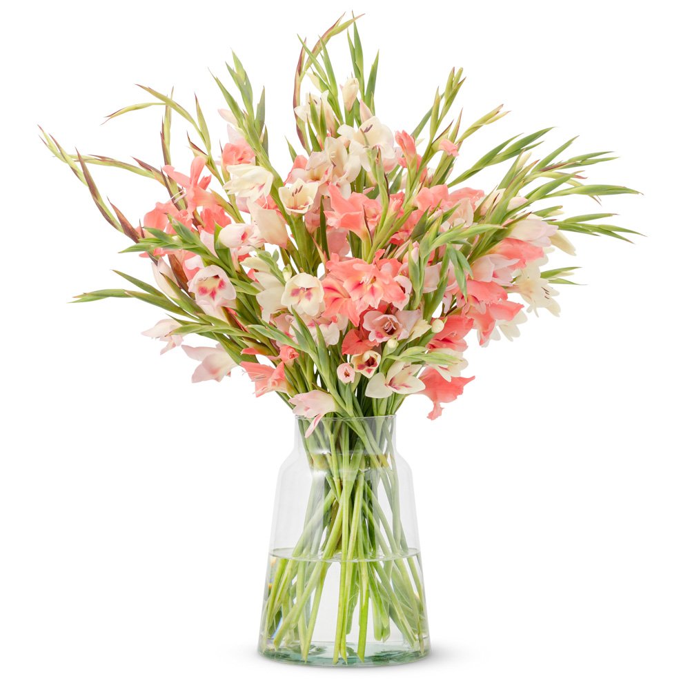 Greetz | Glamini Mix | Rood - Roze | Flowers