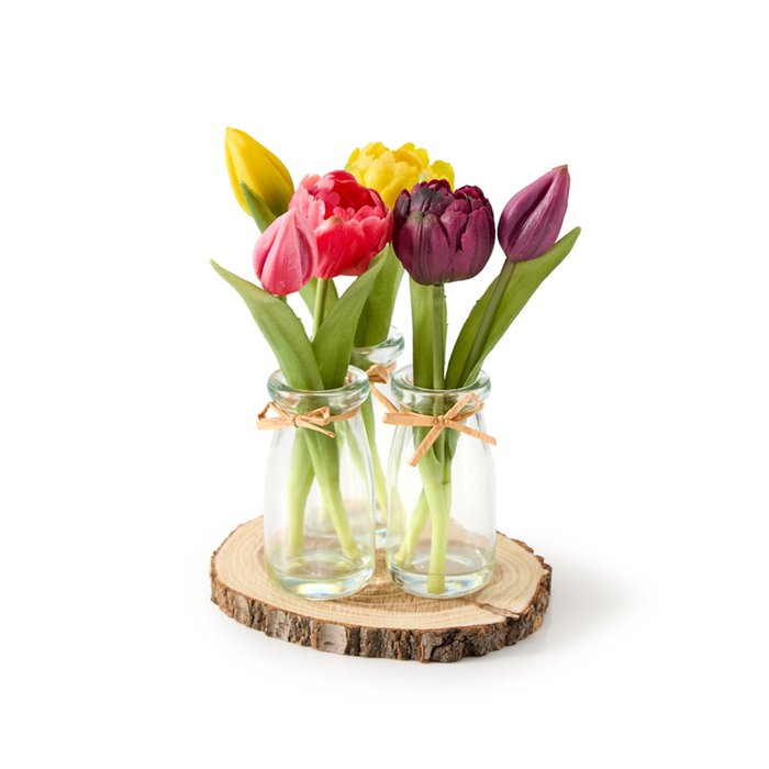 Tulpen Trio | Incl. 3 vaasjes