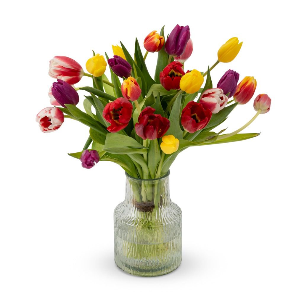 Greetz | 24 Tulpen | Kleurenmix | Do It Yourself