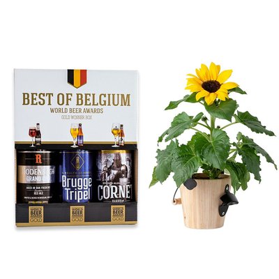 Zonnebloem plant | Incl bieropener | Best of Belgium bierpakket | 990 ml