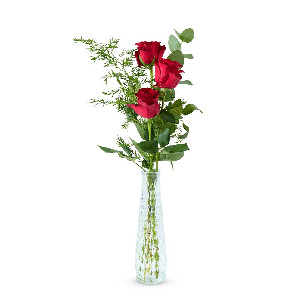 Rode Roos met groen Incl. vaas Bloemen Greetz