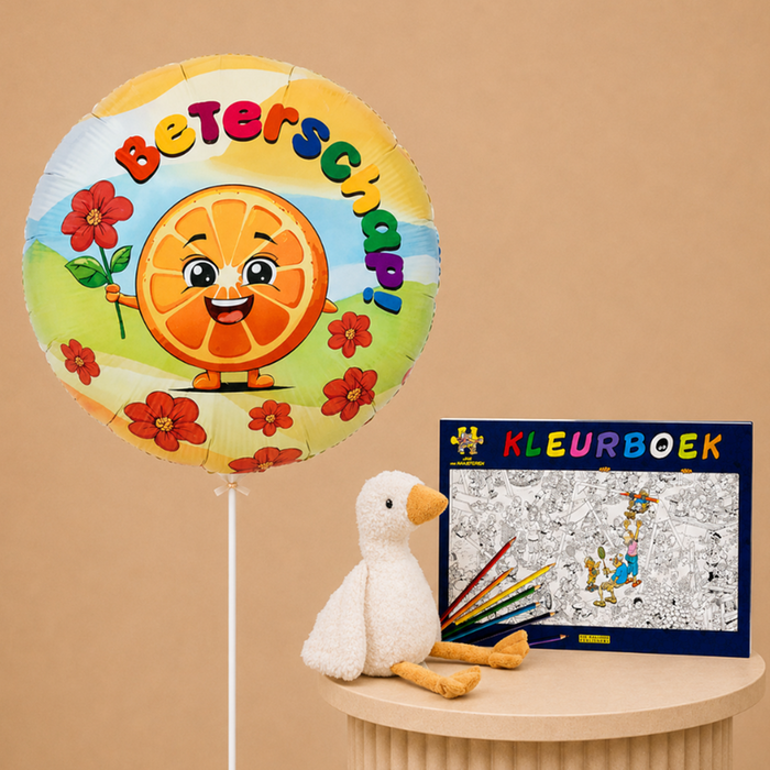 Ballon | Beterschap, Little Dutch gans & Kleurboek