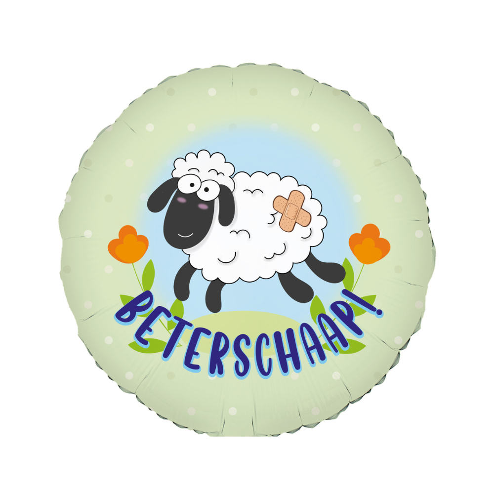 Ballon Beterschaap Greetz