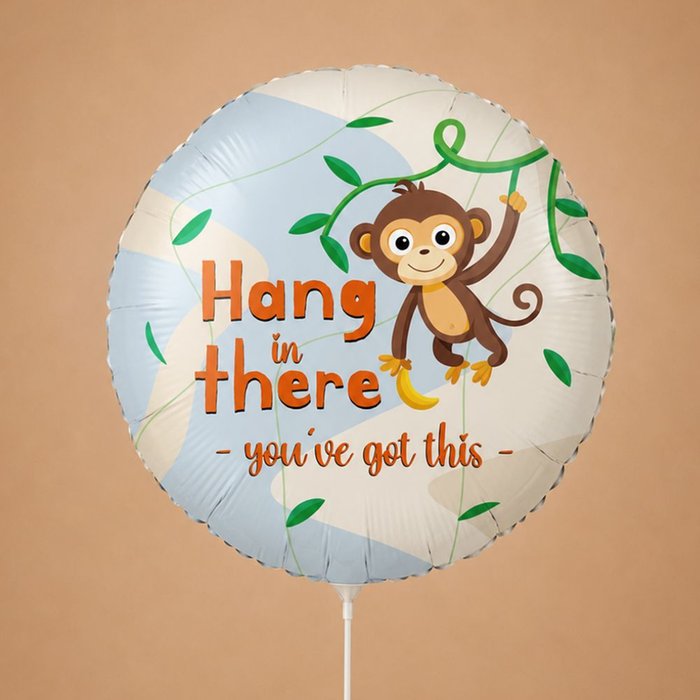 Ballon Hang in there