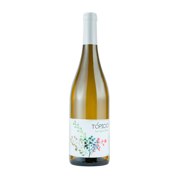 Tópico | Sauvignon Blanc