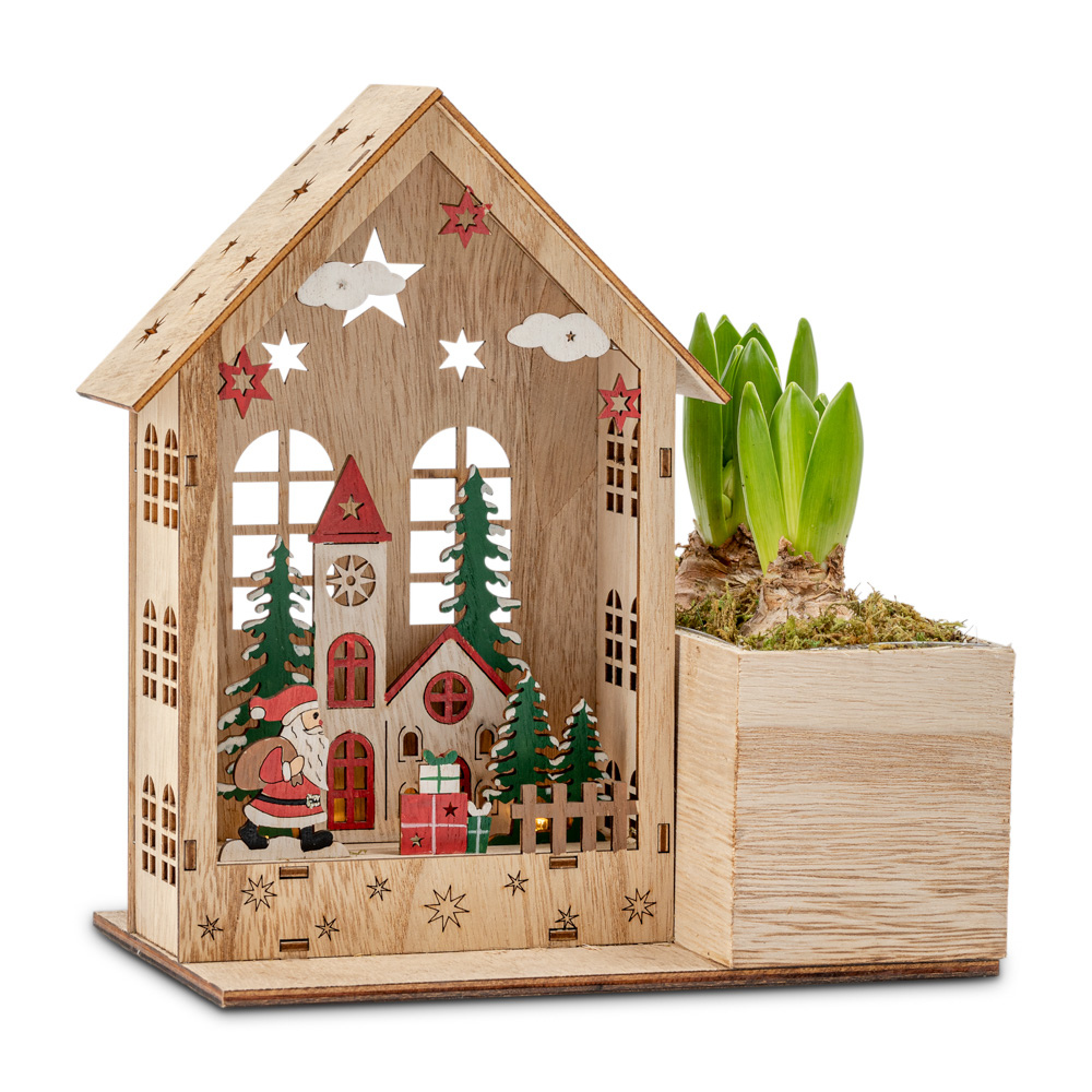 Greetz Hyacint Kersthuisje vol licht Flowers