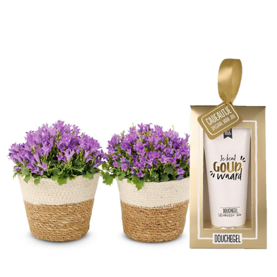 Campanula planten | Incl manden | Douchegel | Jij bent goud waard!