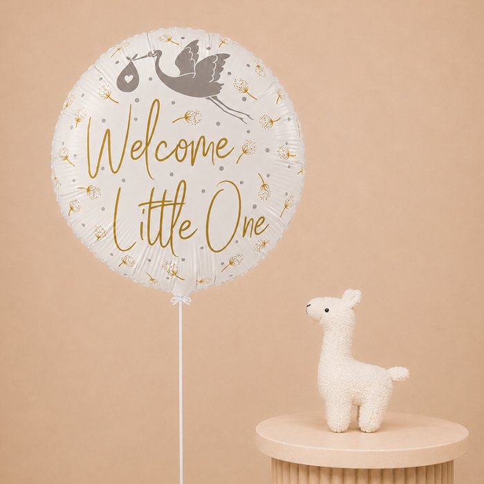 Ballon | Welcome little one & knuffel
