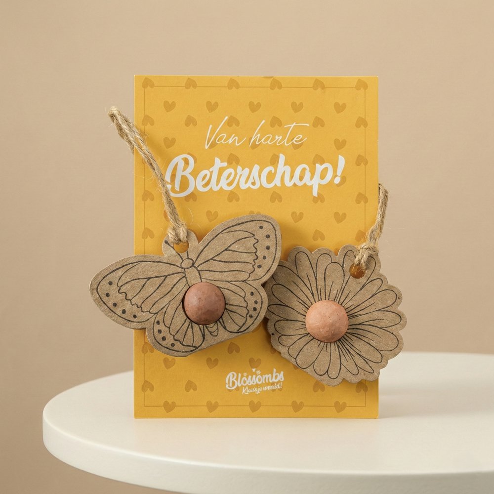 Zaden Hanger Beterschap Brievenbusbloemen Greetz