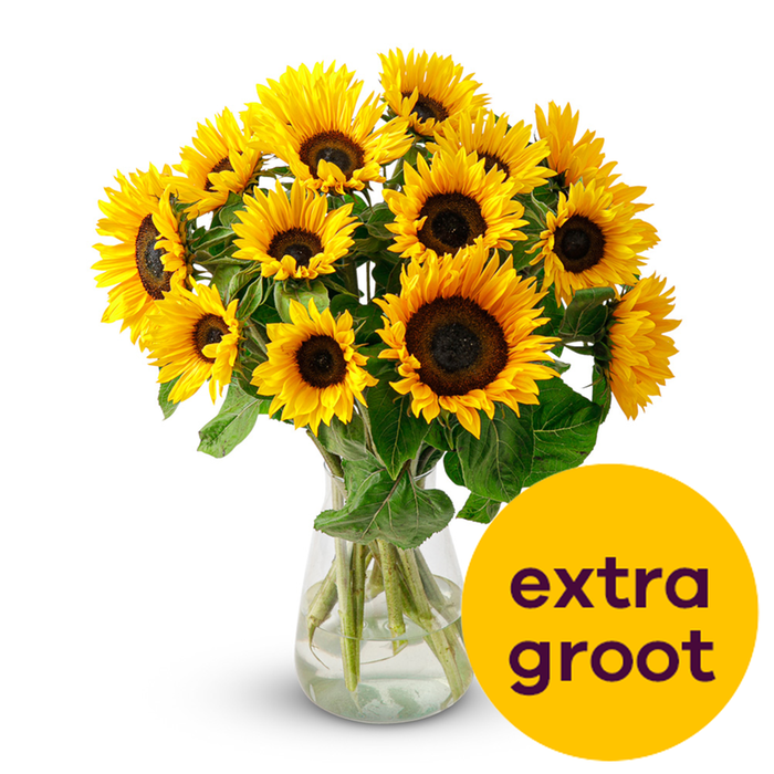 Zonnebloem Boeket L | incl. gratis zonnebloem zaden