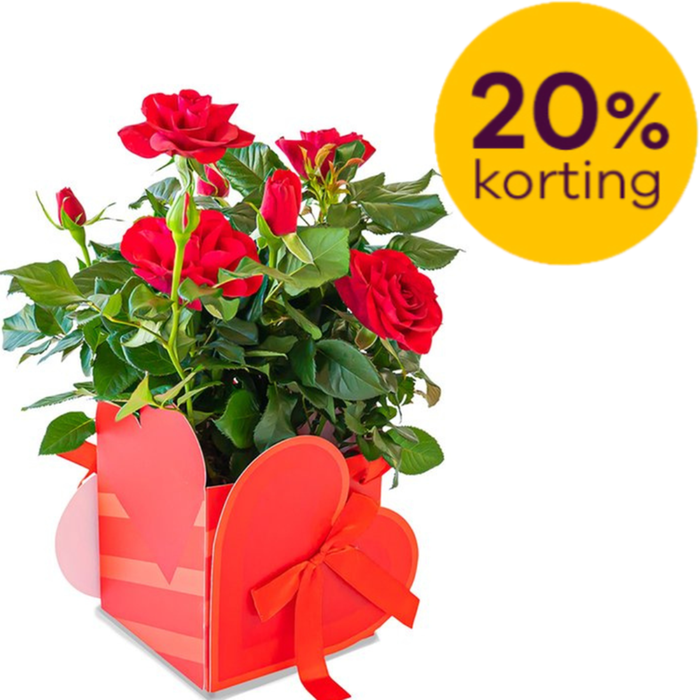 Potroos liefde | Incl pot