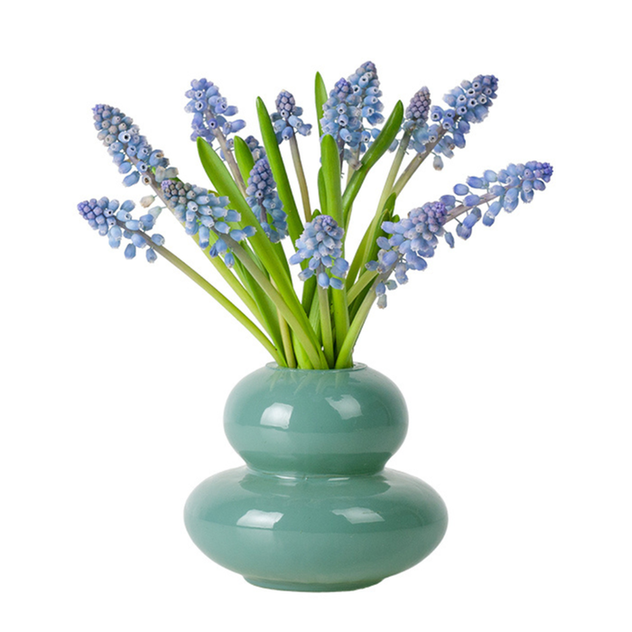 Blauwe druifjes 'Muscari' | in blauw vaasje