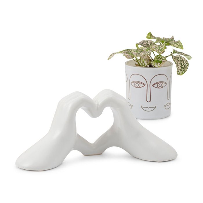 Giftset | Love | Hypoestes plant met hart accessoire