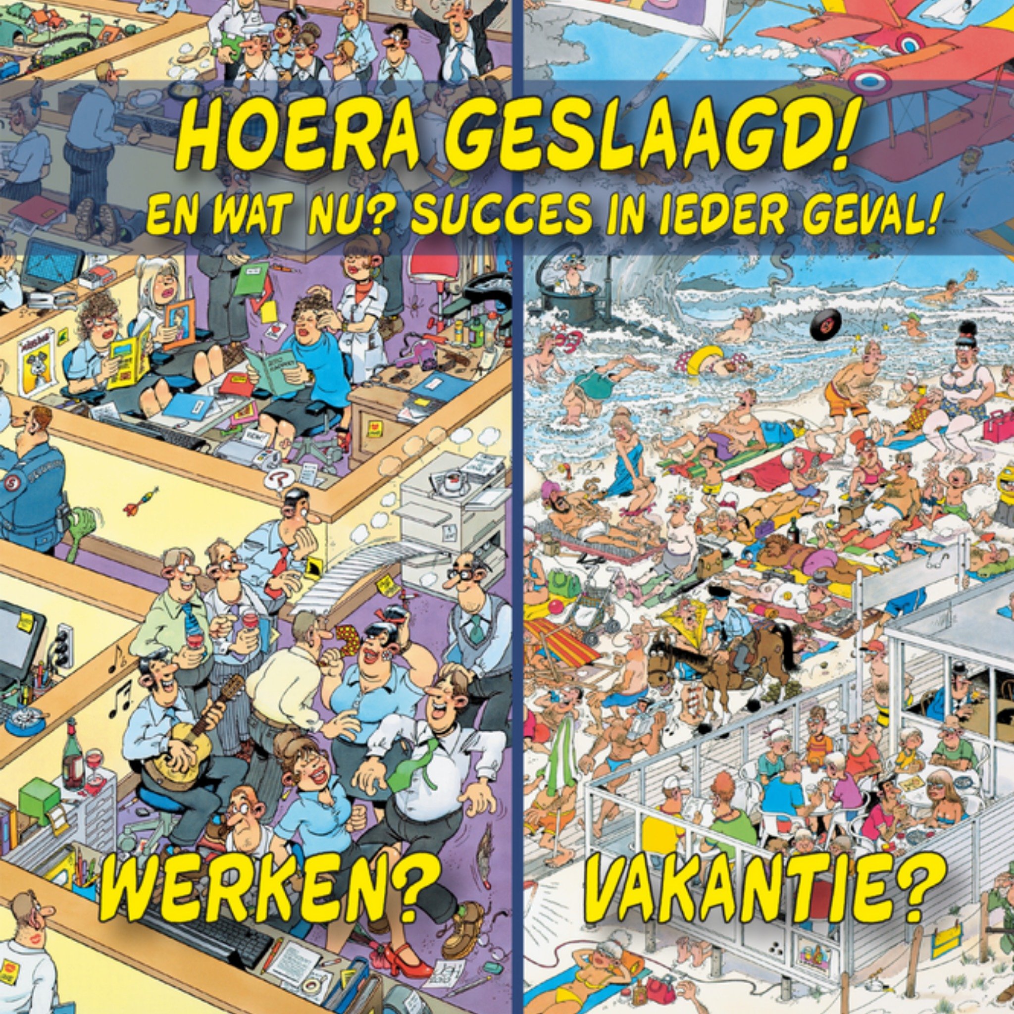 Jan van Haasteren - Geslaagd kaart - Wat nu?