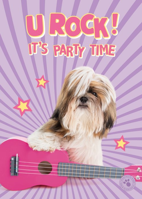 Studio Pets | Verjaardagskaart | U rock it's party time