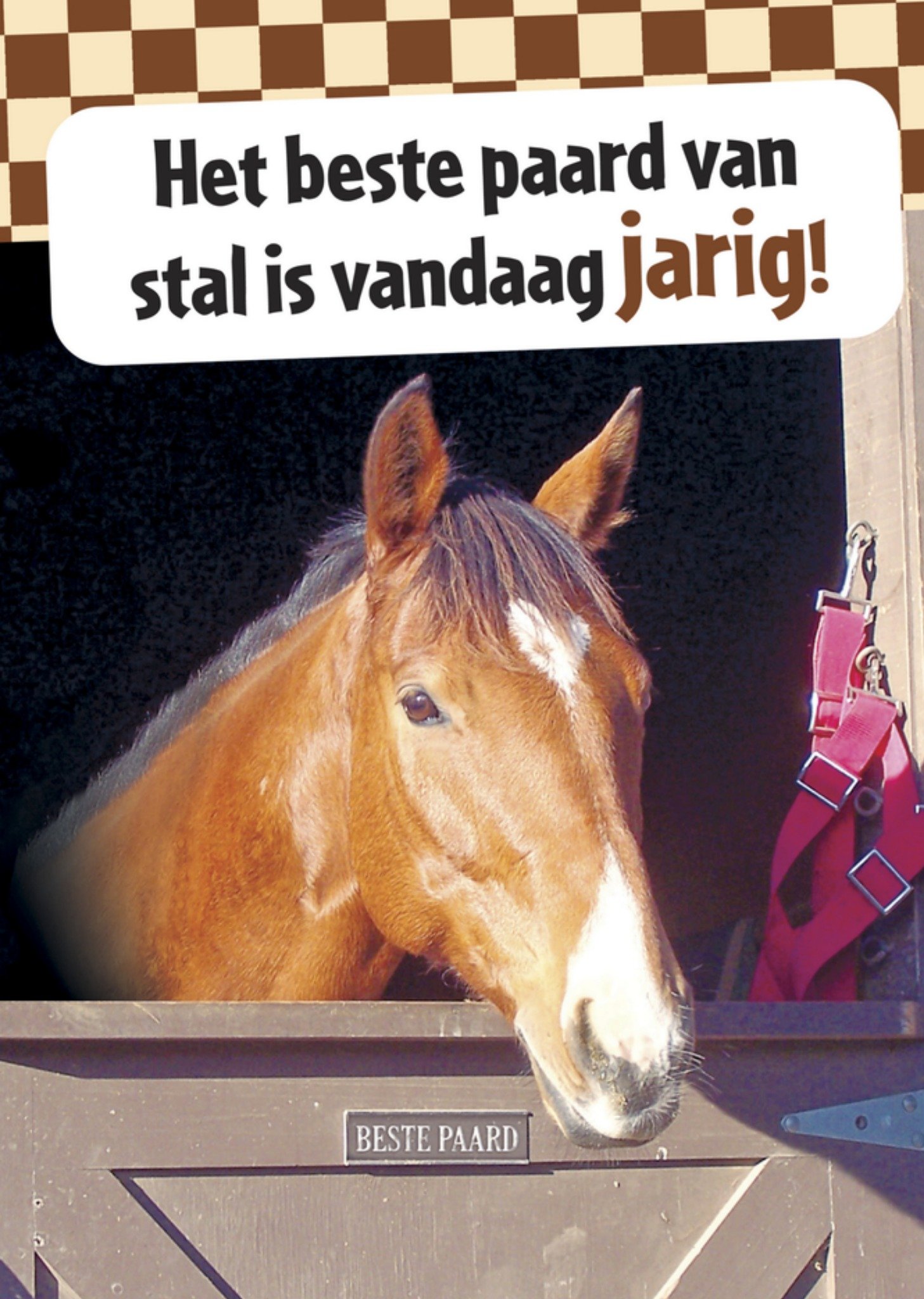 Het beste paard van stal is vandaag jarig Kaart Paperclip