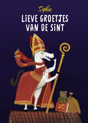 Lieve Groetjes Van De Sint Geïllustreerd Paard Kaart