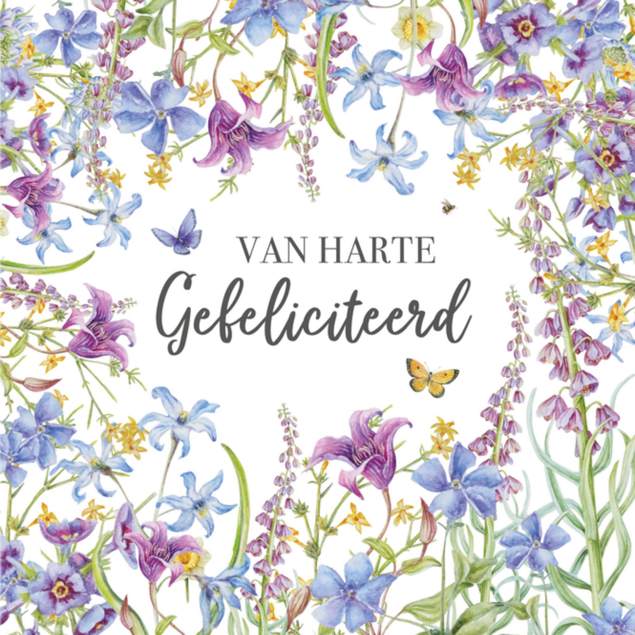 Verjaardagskaart Van harte gefeliciteerd Vierkante Kaart Janneke Brinkman