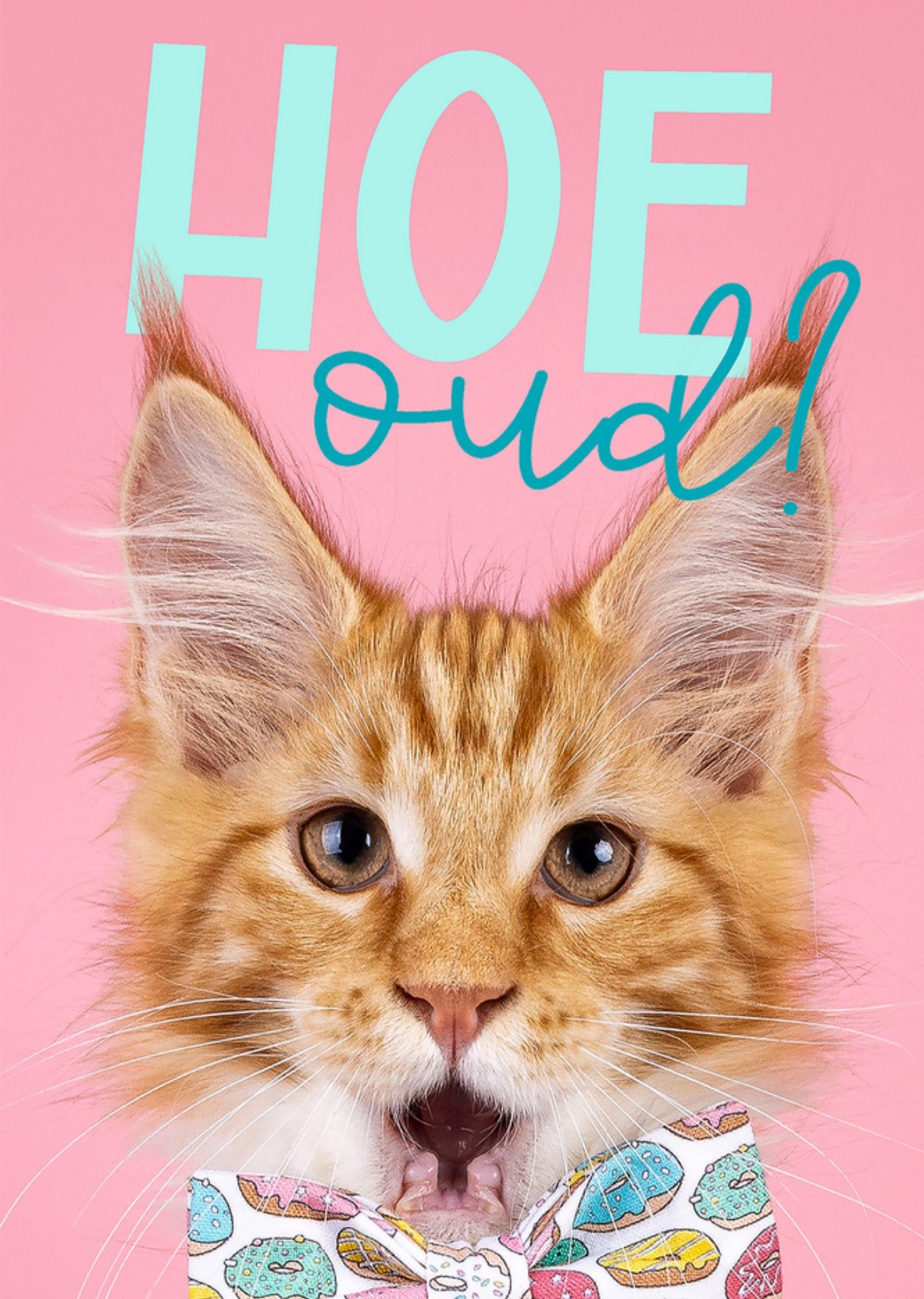 Verjaardagskaart Hoe oud? Kaart Catchy Images