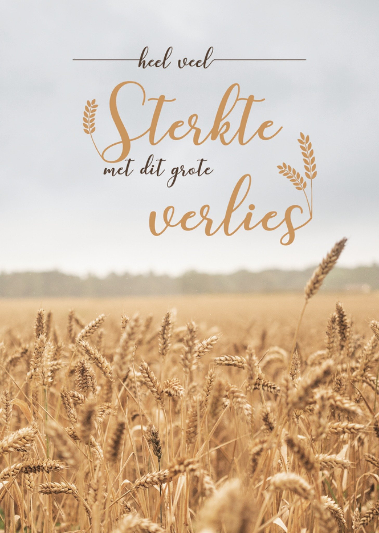 Condoleancekaart Tarweveld Sterkte Kaart Paperclip