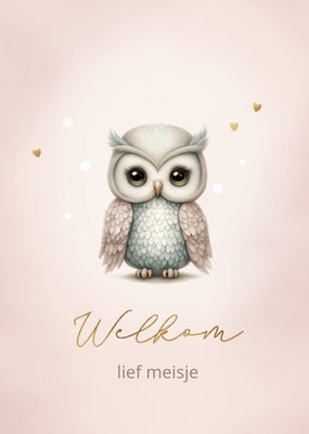 Welkom Lief Meisje Geïllustreerde Uil Geboorte Kaart