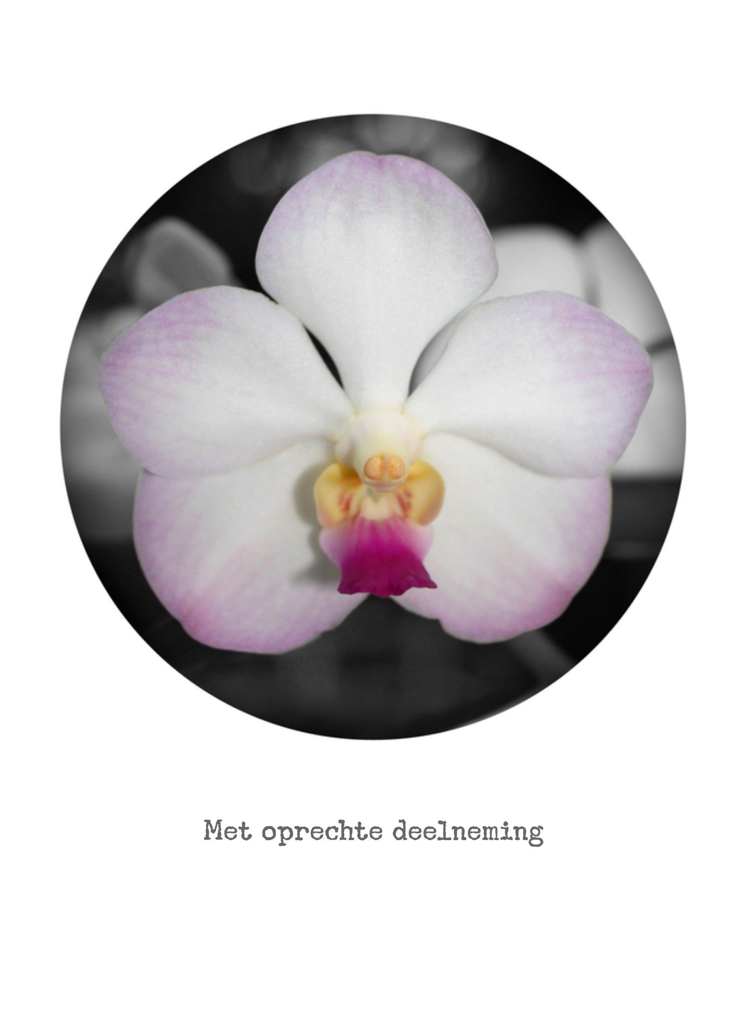 Condoleancekaart Witte condoleance bloem Kaart Bright Spot