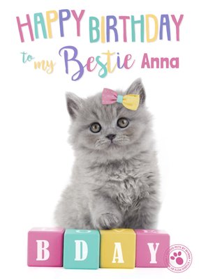 Studio Pets By Myrna Kitten Beste Vriendin Verjaardag Kaart