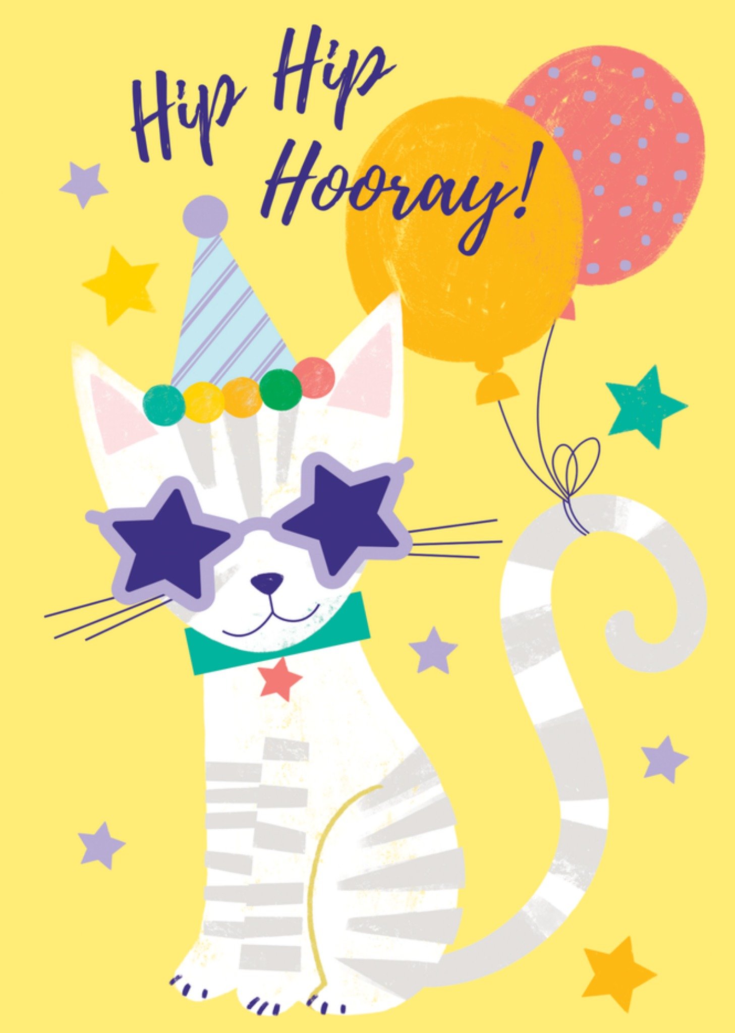 Verjaardagskaart Hip Hip Hooray Kaart TMS