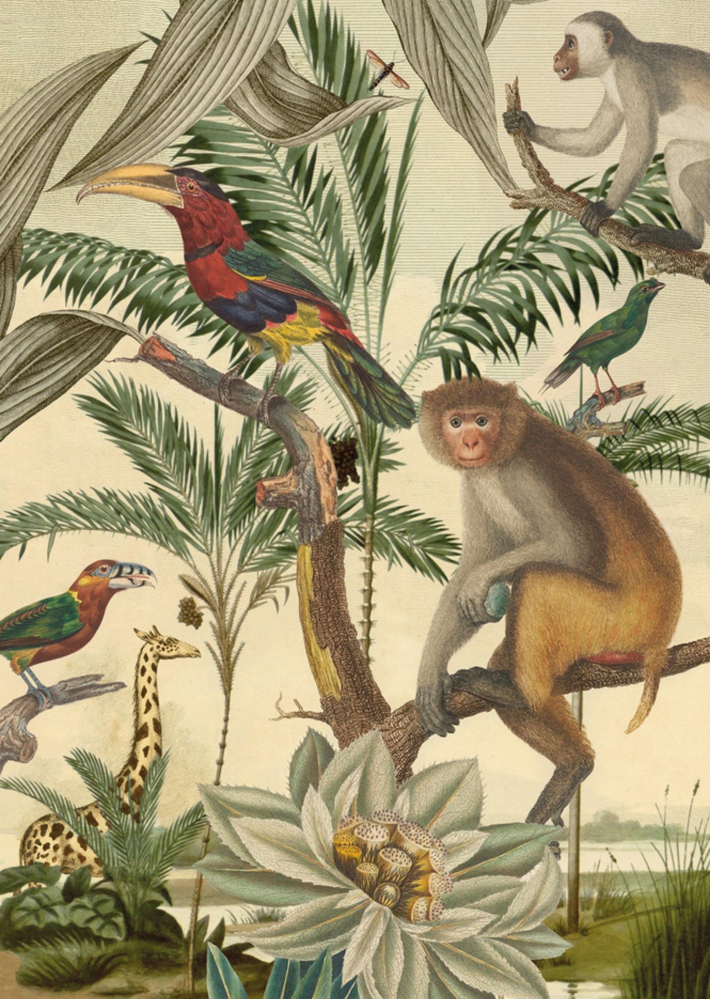 Vriendschapskaart Aapje Kaart NIN-NIT