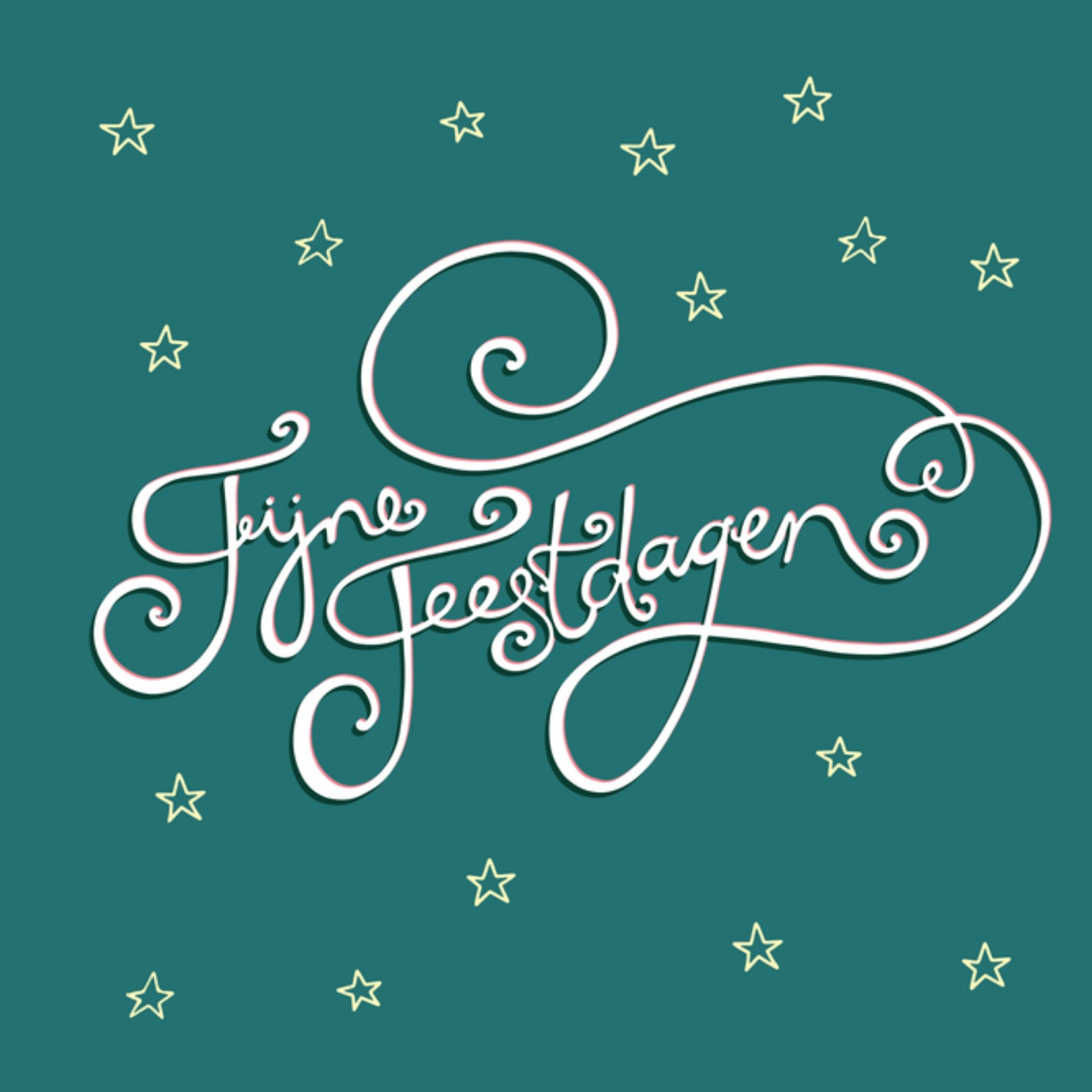 Funny Side Up Kerstkaart Fijne Feestdagen Vierkant