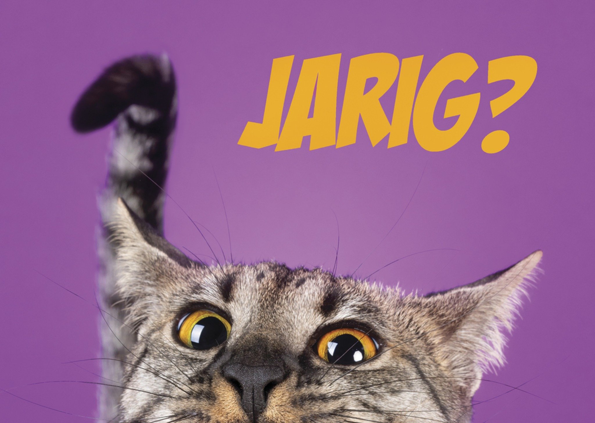 Verjaardagskaart Jarig? Kaart Catchy Images