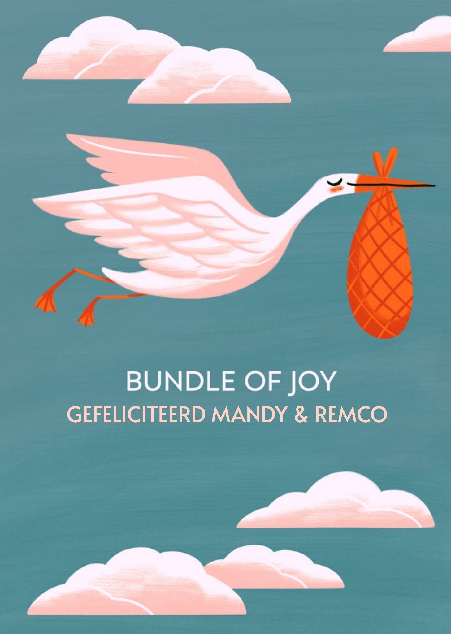 Geboortekaart Bundle of joy Aanpasbare tekst Kaart Greetz