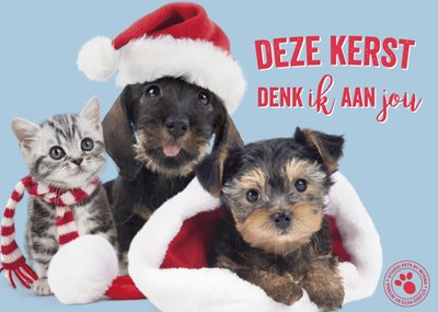 Studio Pets | Kerstkaart | dieren