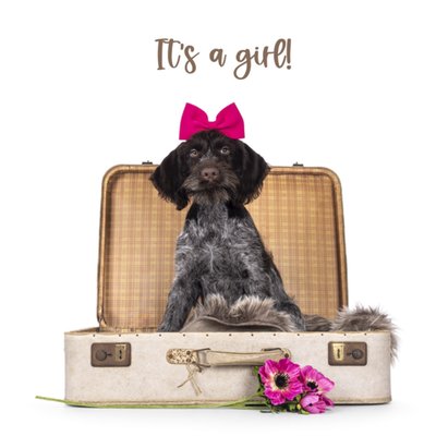 Catchy Images | Geboortekaart | It's a girl!