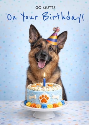 Party Animals Go Mutts Hond Met Taart Verjaardagskaart