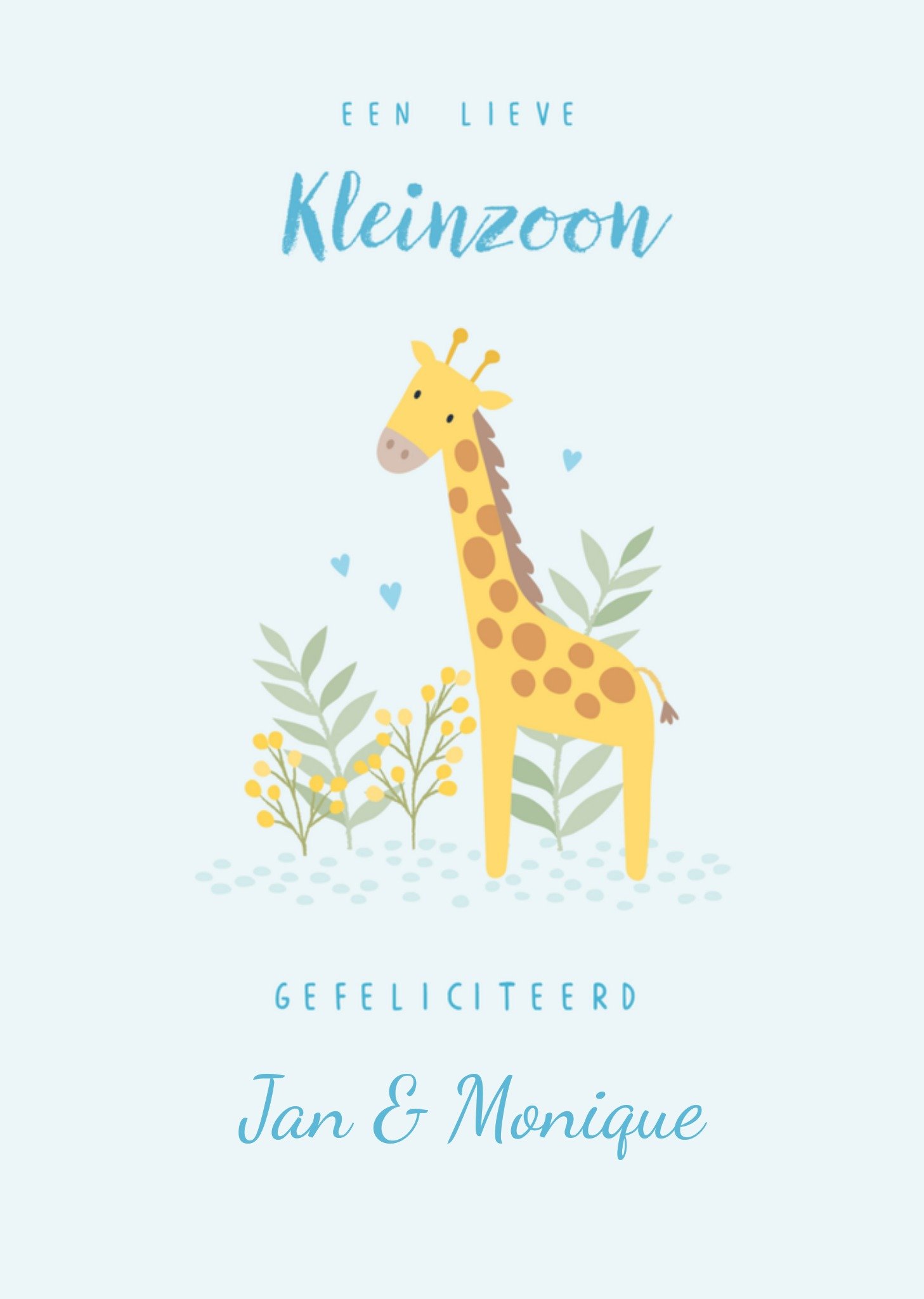 Geboortekaart Kleinzoon Giraf Kaart Klara Hawkins