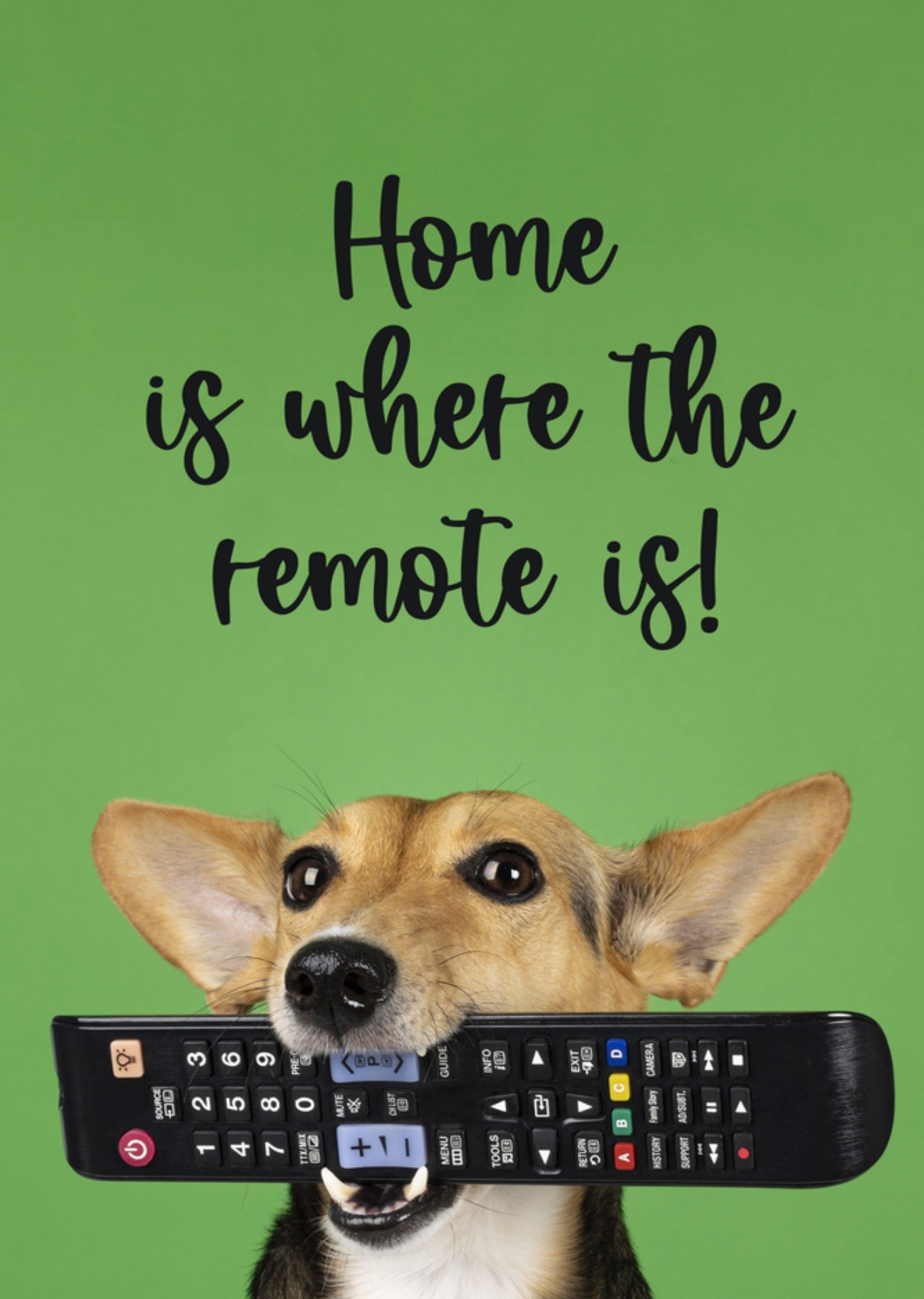 Nieuwe Woning kaart home is where the remote is hond Catchy Images
