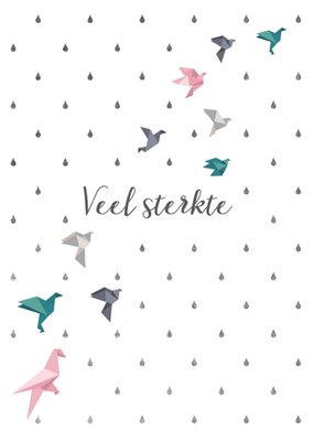 TMS | Sterkte kaart | vogels