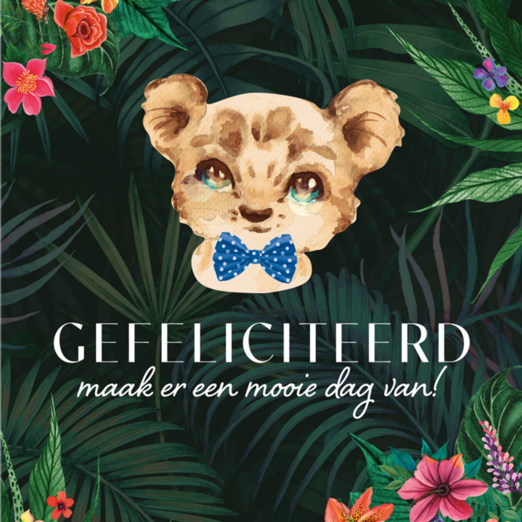 Verjaardagskaart Gefeliciteerd Vierkante Kaart Melli Mello