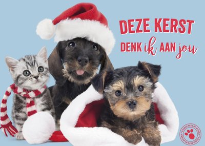 Studio Pets | Kerstkaart | dieren