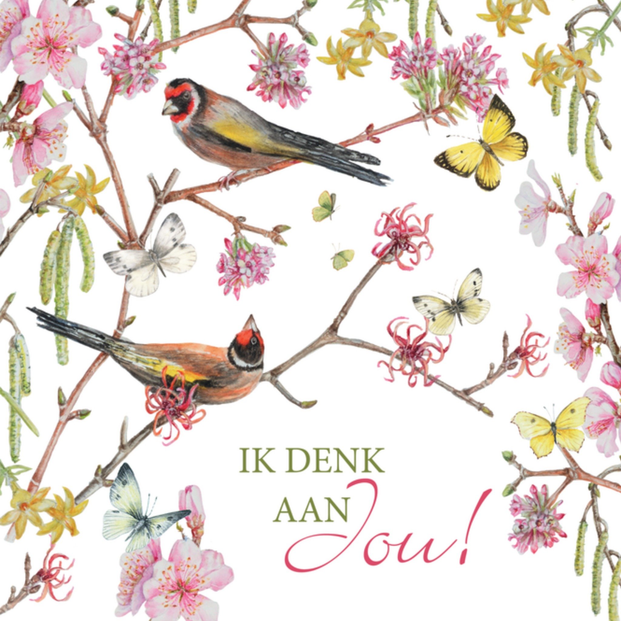 Sterkte kaart vogels Vierkante Kaart Janneke Brinkman