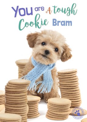 Studio Pets By Myrna You Are A Tough Cookie Hond Bemoediging Kaart